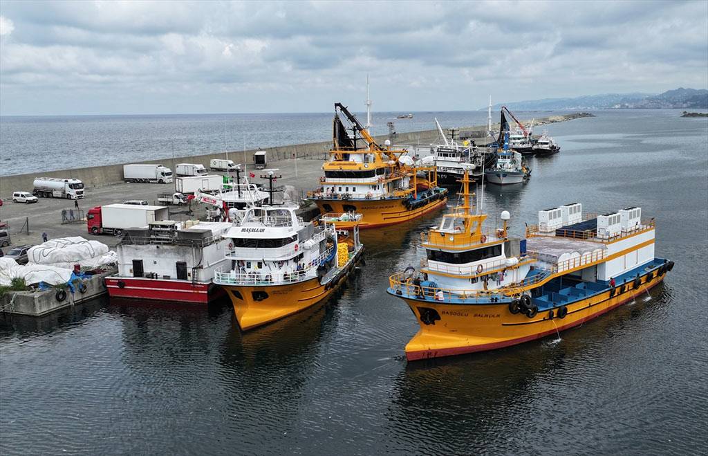 Balıkçılarda palamut için rota Doğu Karadeniz'e döndü