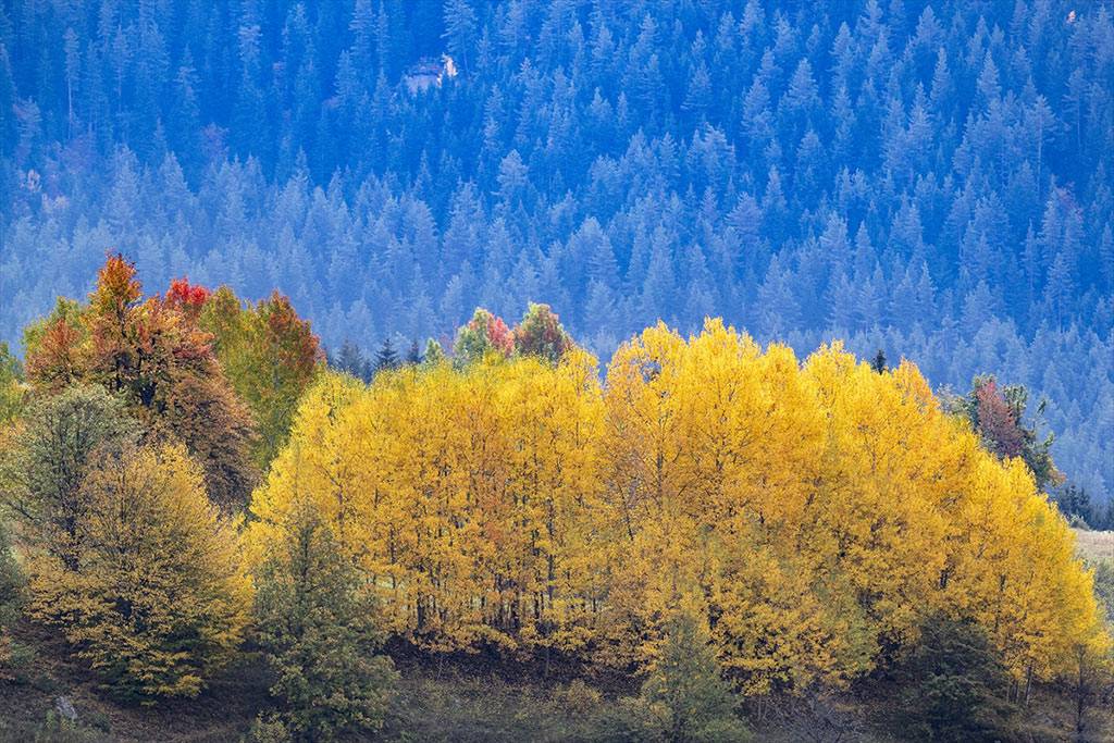 Artvin'in ''sakin şehri'' Şavşat ile sonbahar!