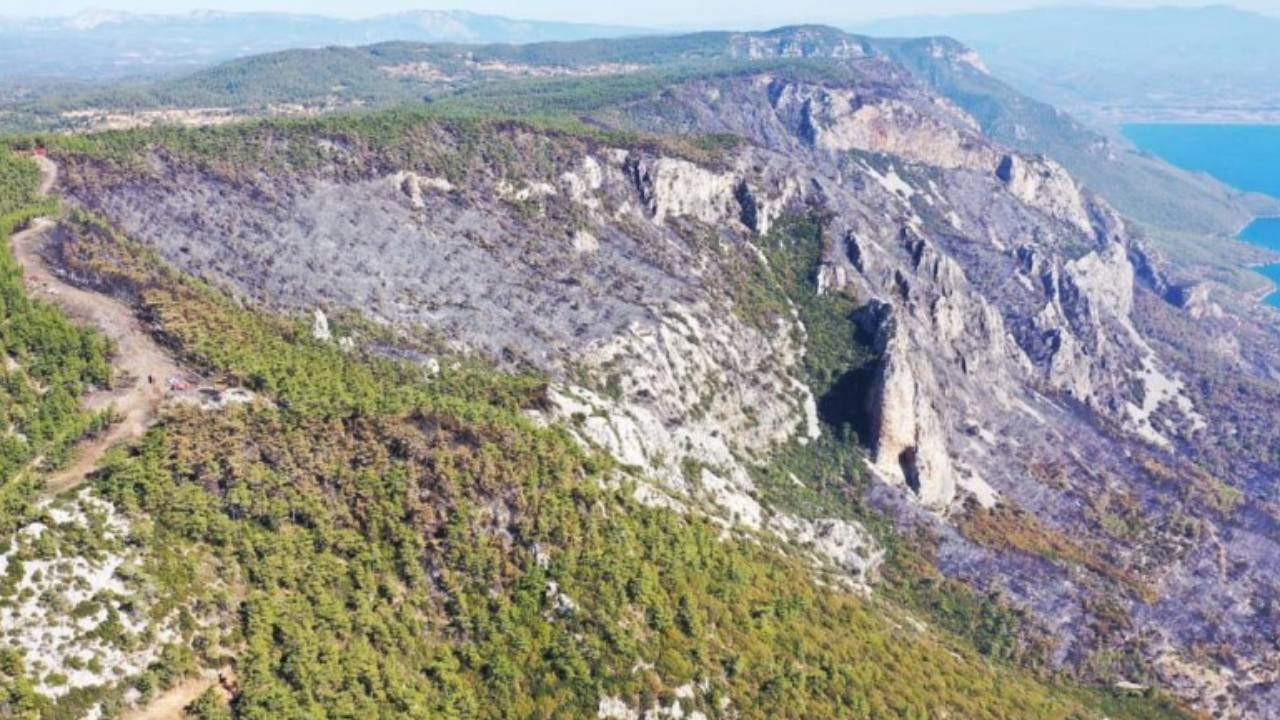 Muğla'daki orman yangınlarında son durum...