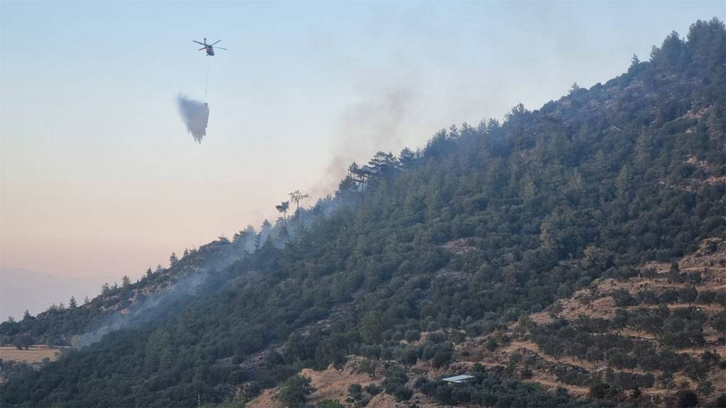 Aydın'da orman yangını: 4,5 hektar alan zarar gördü