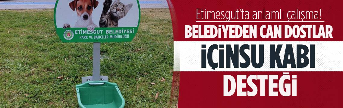 Etimesgut Belediyesinden can dostlara su kapları!