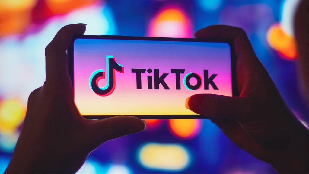  TikTok'un tepkisi ve gizliliğin yeniden sağlanması 