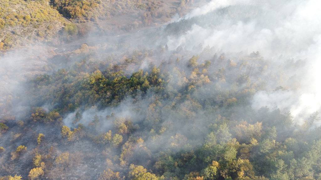 Bilecik ve Hatay'da orman yangını! Evlere de sıçradı