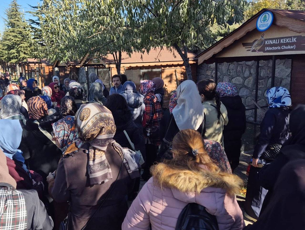 Ankara’da ‘‘Endemik Vadi’’ ilgi odağı oldu