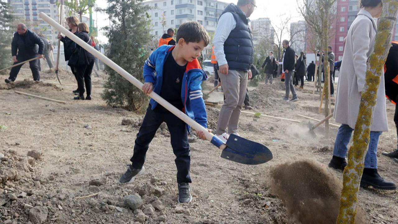 Yenimahalle'de ağaçlar toprakla buluştu!