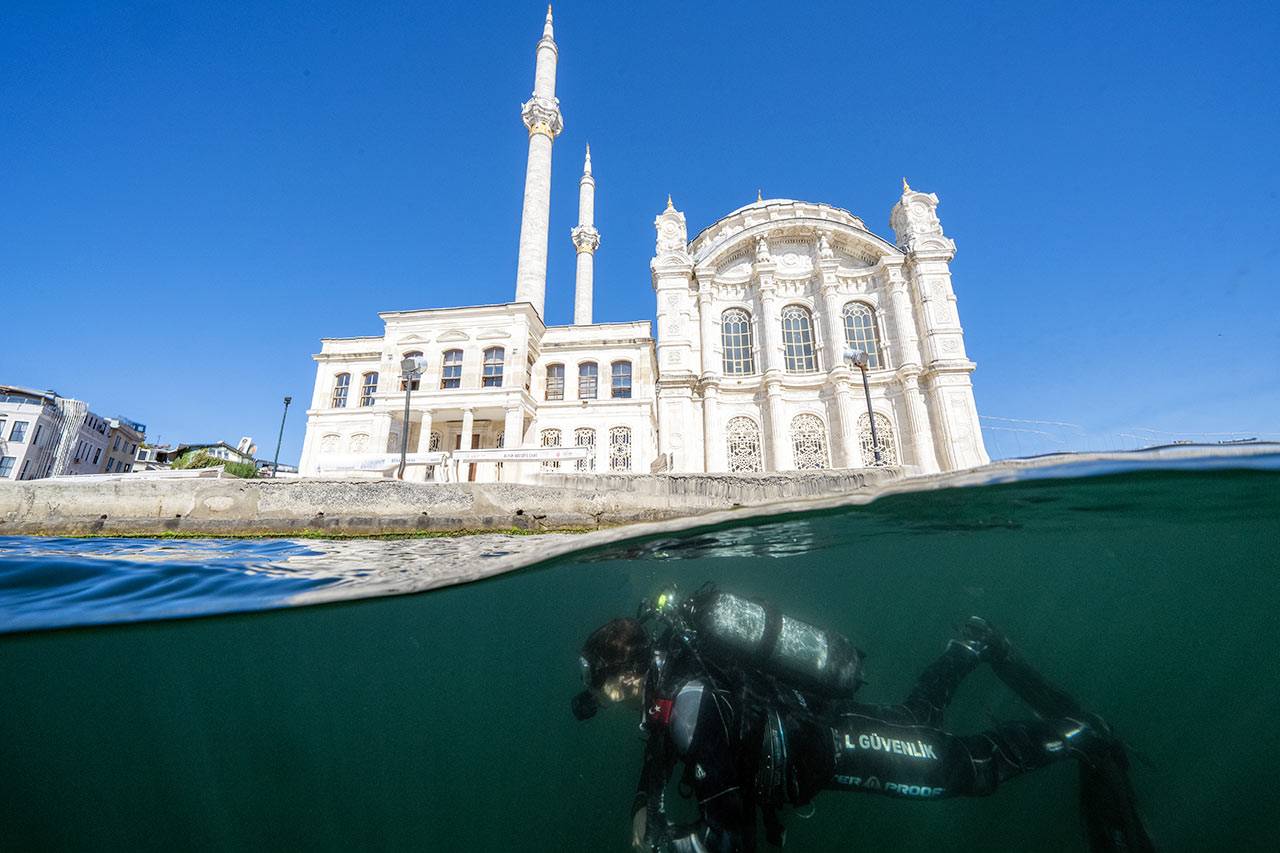 ORTAKÖY CAMİSİ KIYISINDAKİ CANLI ÇEŞİTLİLİĞİ