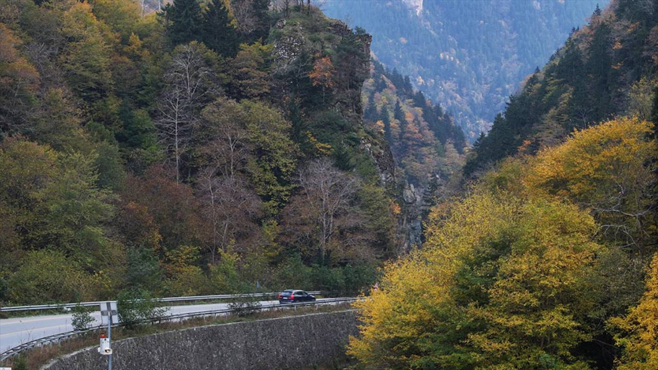 Trabzon'da sonbahar! Ağaçlarda sonbahar renkleri