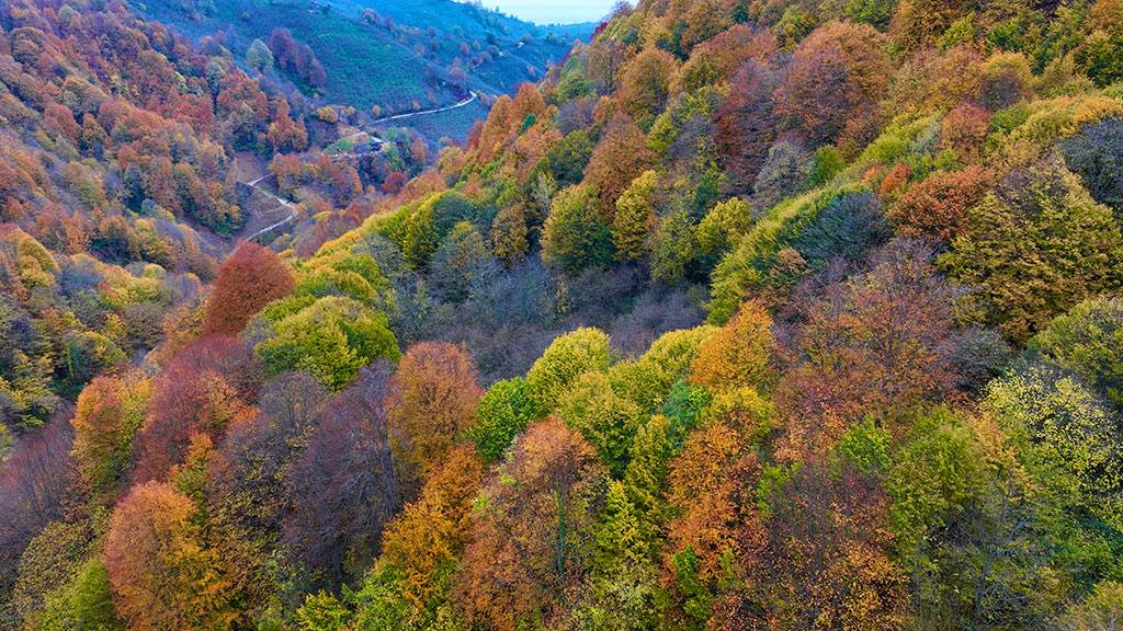 FOTOĞRAF TUTKUNLARININ VAZGEÇİLMEZİ