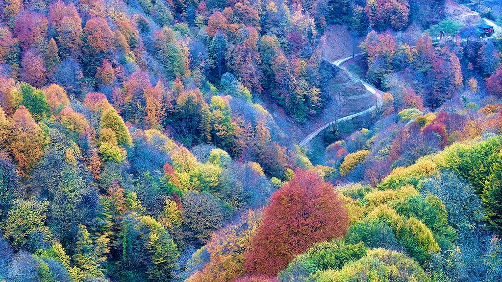 PİKNİK VE HUZUR BİR ARADA