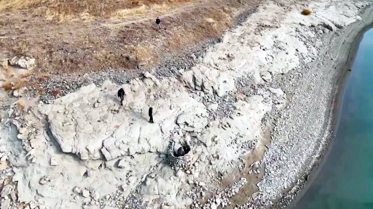 CEZAİ YAPTIRIM VE EL KONULAN KUŞLAR