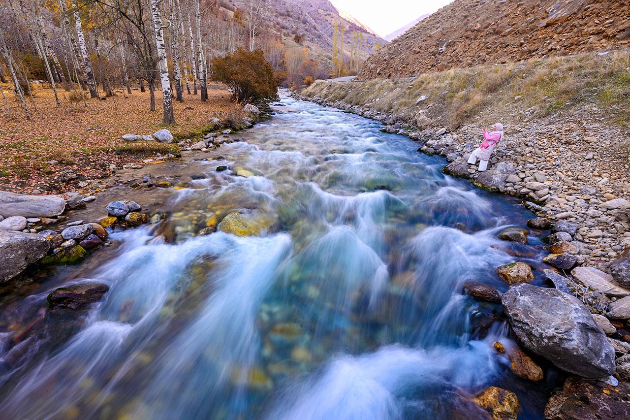 ÇİÇEKLERİN SONBAHAR VEDASI