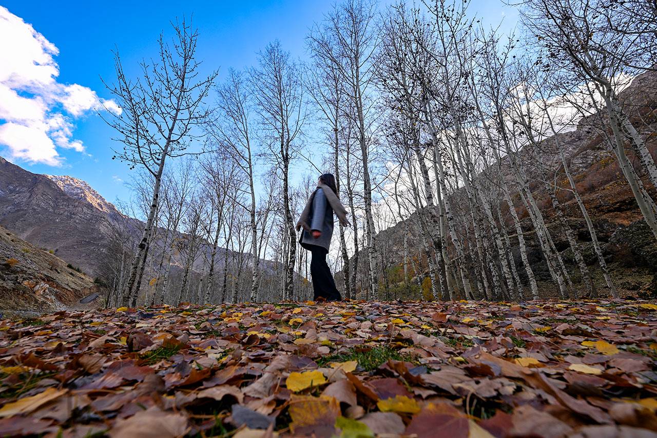 FOTOĞRAFÇILARIN CAZİBE MERKEZİ
