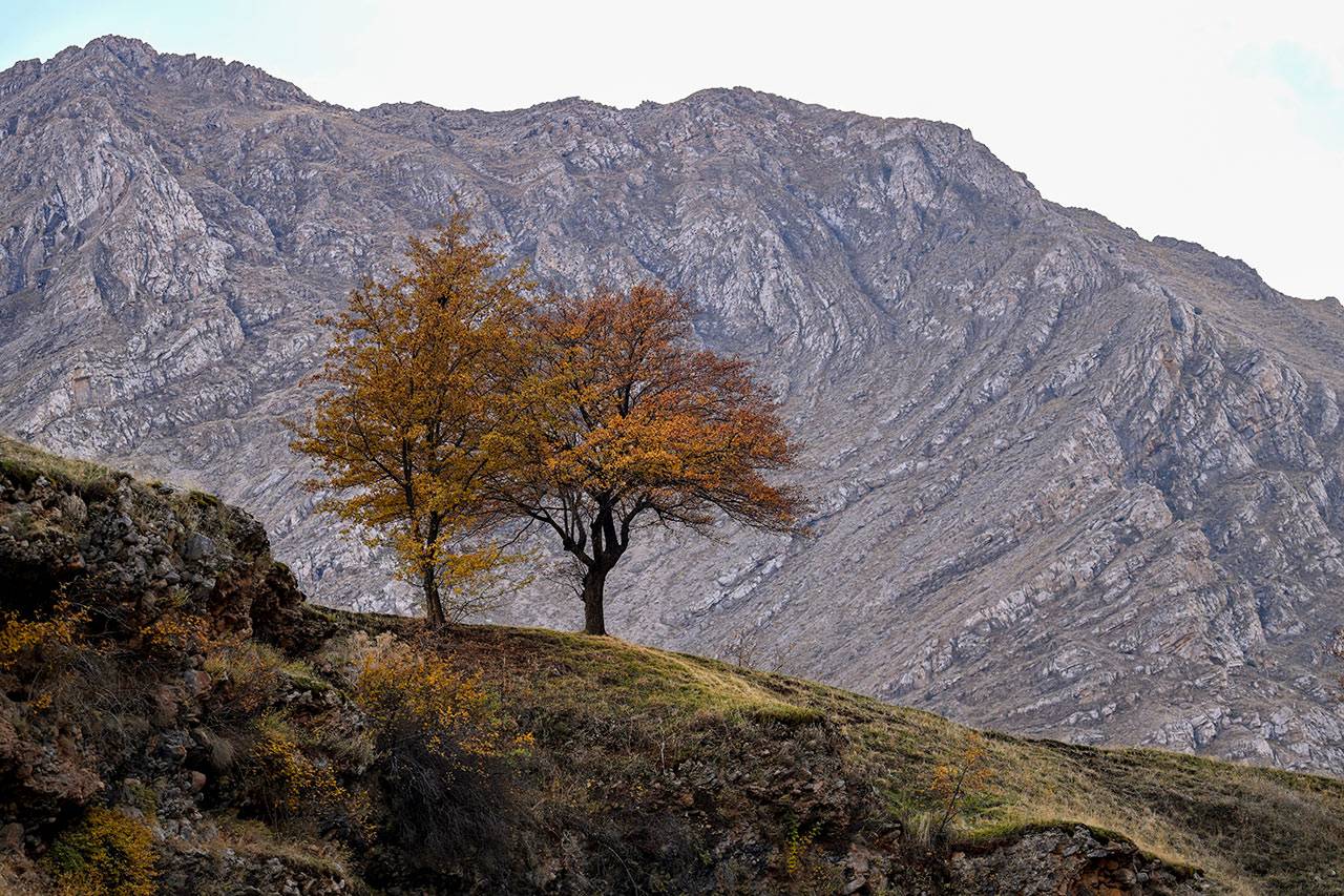 DOĞAYLA İÇ İÇE KAMP