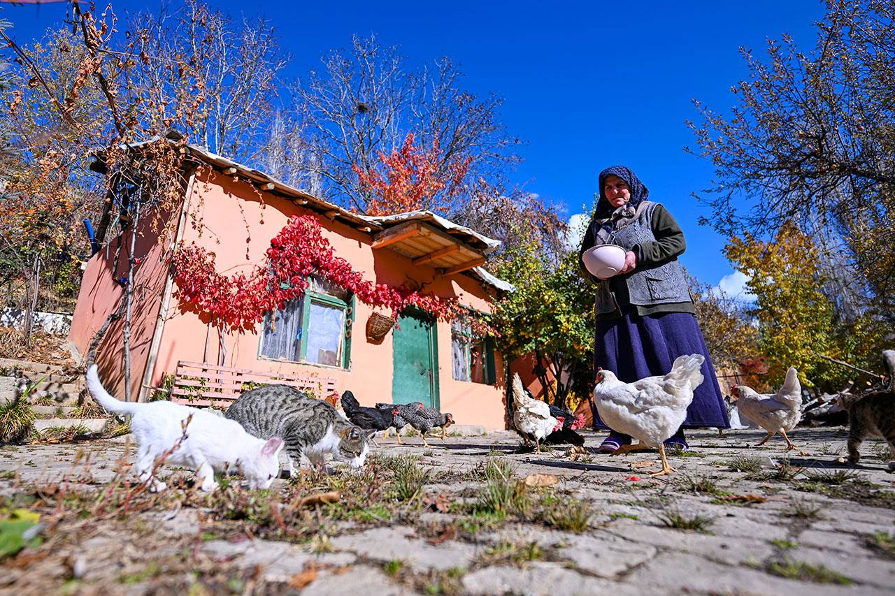 DOĞASEVERLERİN GÖZDESİ