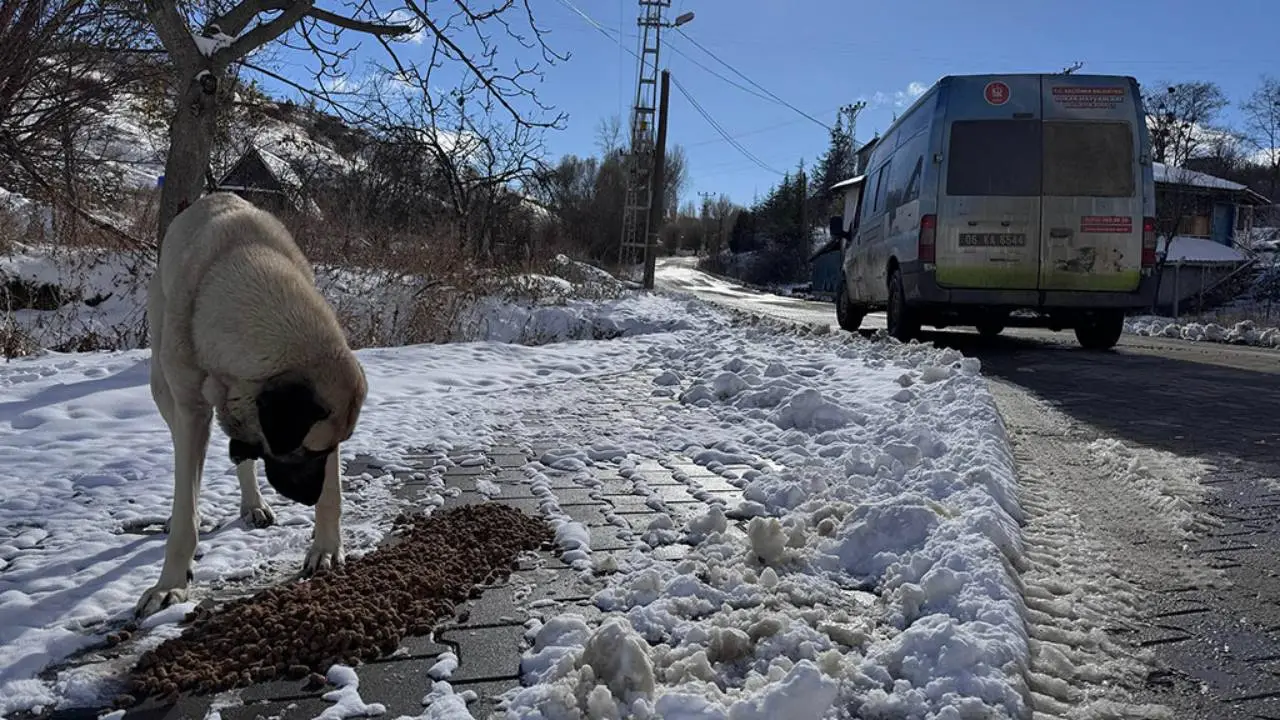 Keçiören Belediyesi, karda can dostları unutmadı!