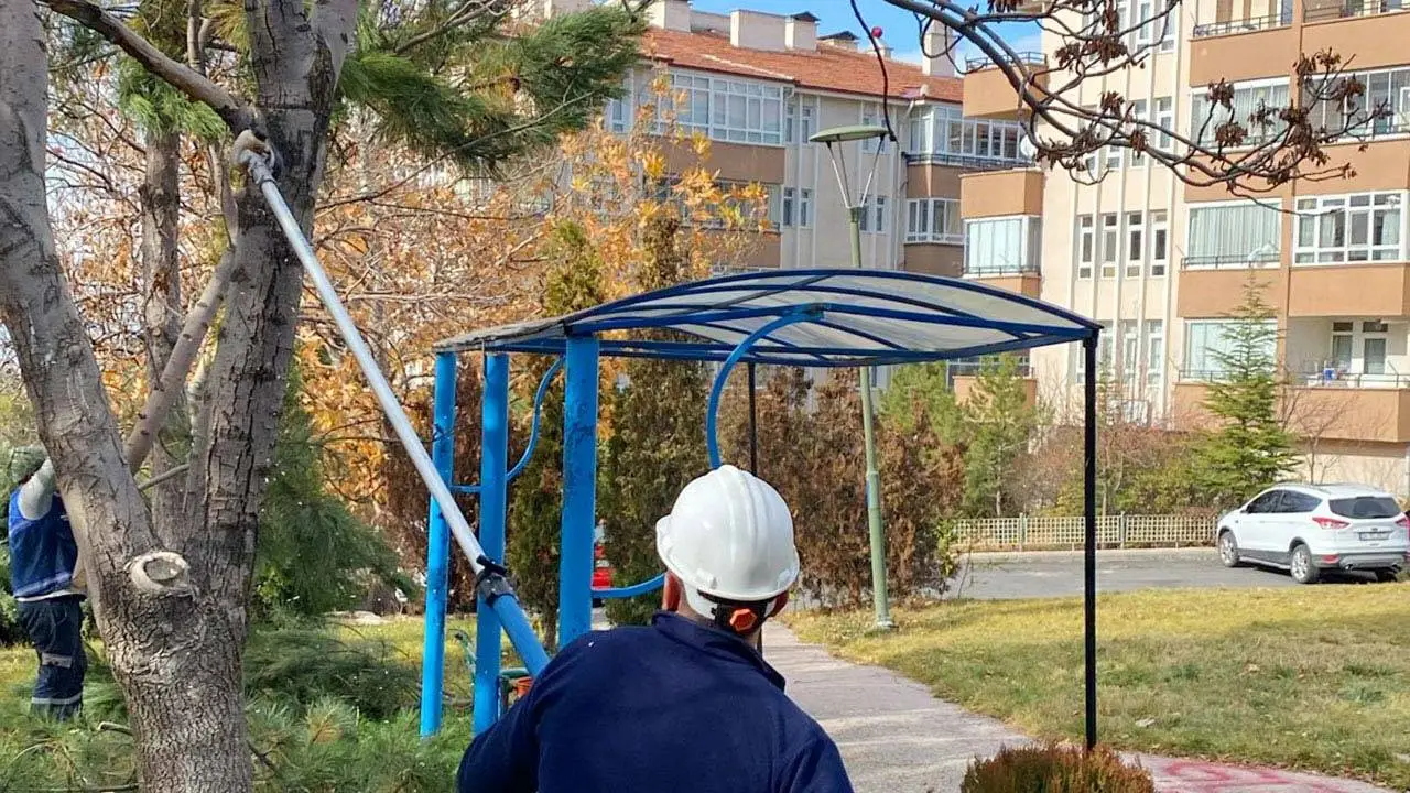 Mamak Belediyesi, ağaçlara kışlık bakım yapıyor