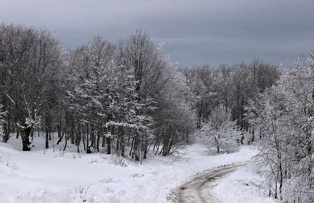 Samsun'da kar yağışı! Kocadağ Yaylası, beyaz örtü ile kaplandı