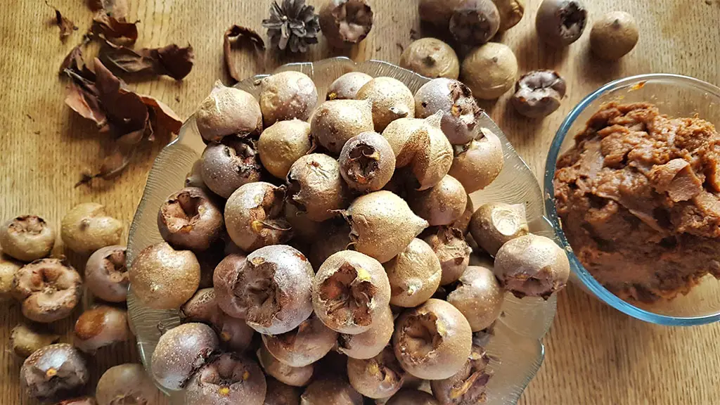 Hasadı yapıldı, kilo kilo satılıyor! Faydaları saymakla bitmiyor!