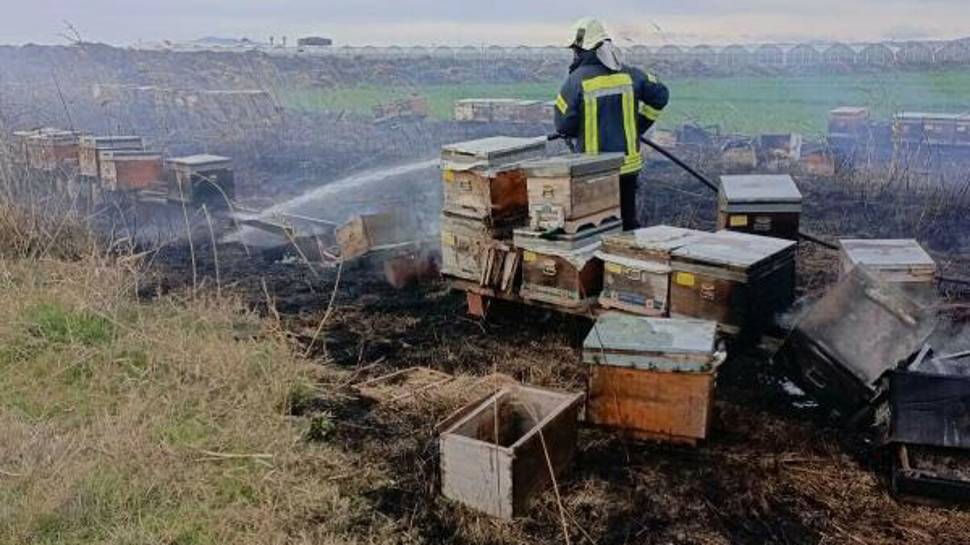 Manisa'da kovanlara yangın sıçradı binlerce arı öldü