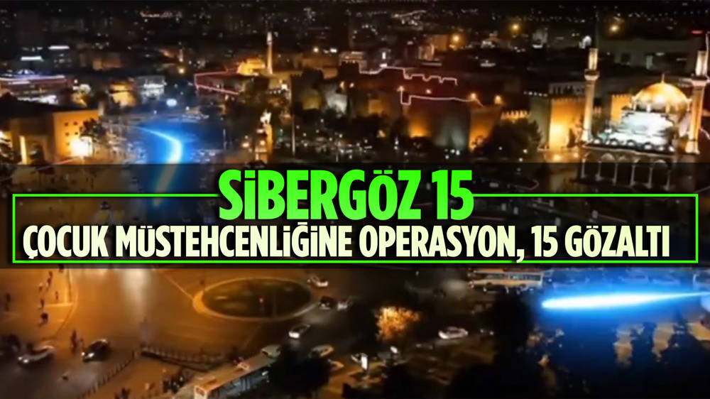 10 ilde Sibergöz-15 operasyonu; 15 gözaltı