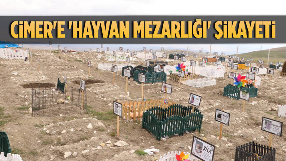 Başkentte mahalleli hayvan mezarlığından şikayetçi!