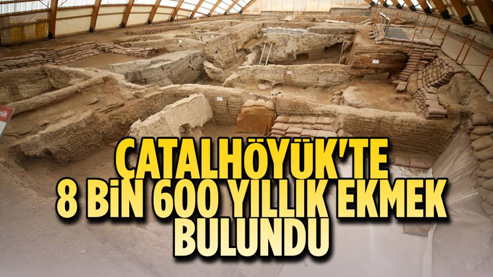 Dünya’nın en eski ekmeği Çatalhöyük’te bulundu 