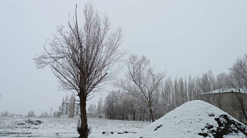 Erzurum ve Kars'ta yüzlerce yerleşim yerine ulaşım sağlanamıyor