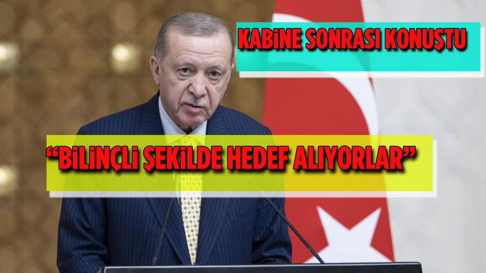 Erdoğan kabine sonrası konuştu: Bilinçli şekilde hedef alıyorlar 