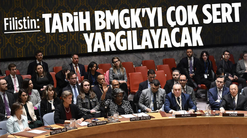 Mansur: Tarih, BMGK’yı çok sert yargılayacak