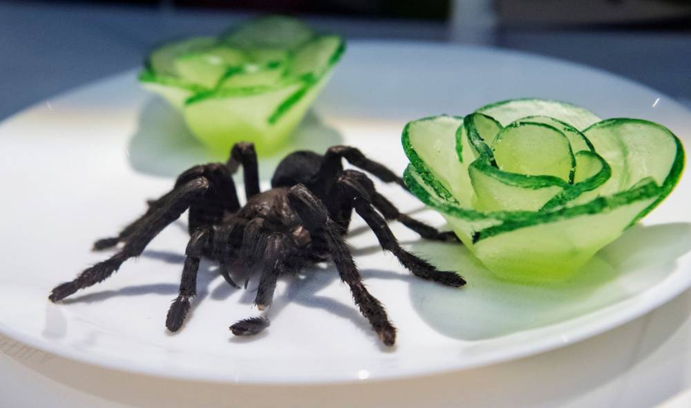 Rüyada Tarantula Yemek Ne Anlama Gelir?