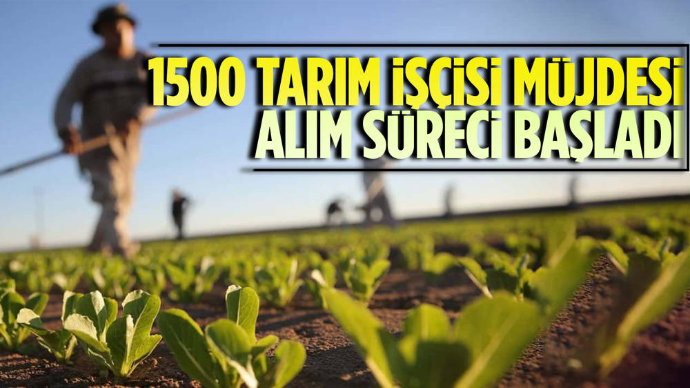 Tarım ve Orman Bakanı Yumaklı'dan 1500 tarım işçisi müjdesi