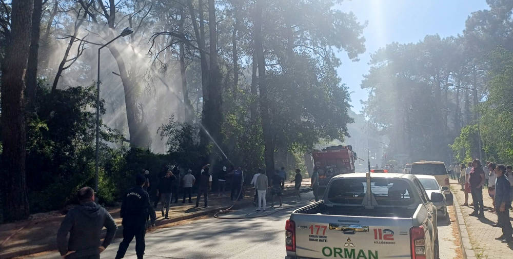 Antalya'da korkutan orman yangını!