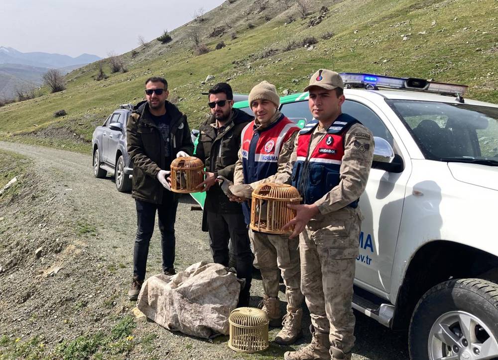 Bitlis'te keklik avlayanlara 106 bin 135 lira ceza 