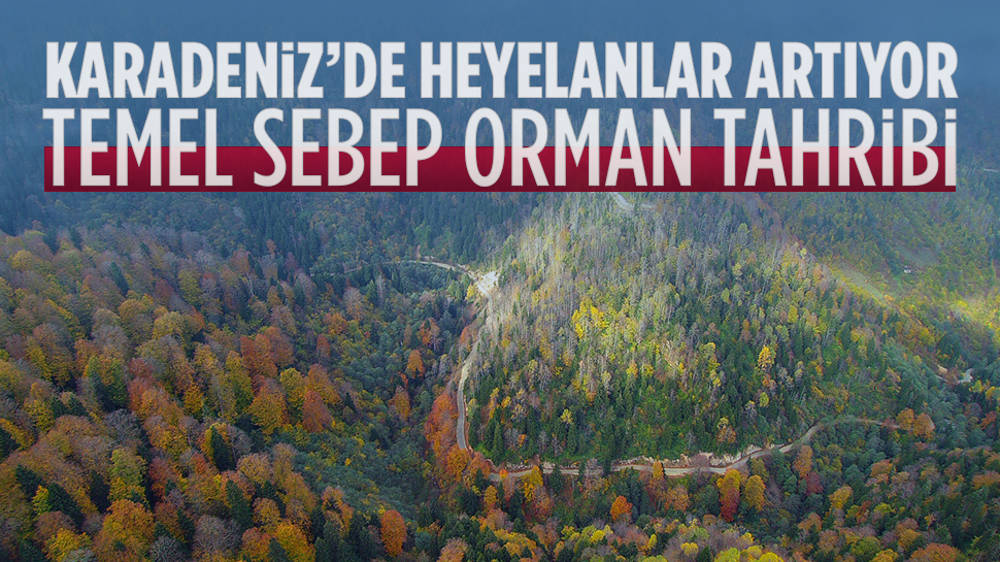 Karadeniz’de orman tahribi heyelanları artırıyor