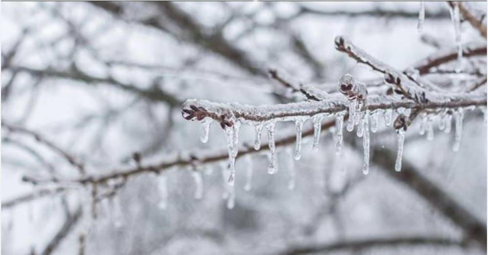 Meteorolojiden zirai don uyarısı