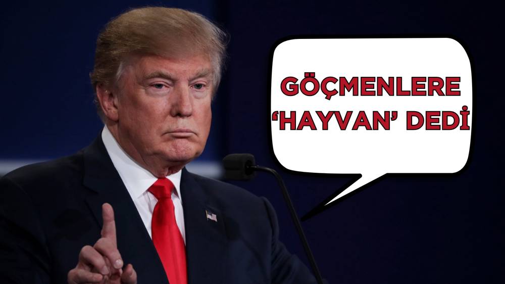 Trump, düzensiz göçmenlere “hayvan” dedi