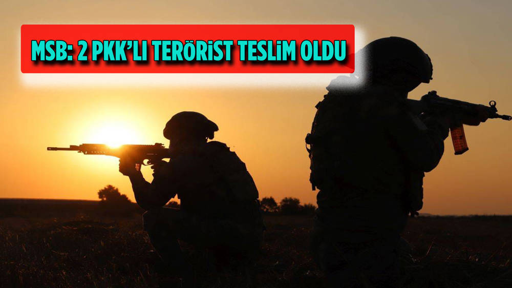 2 PKK’lı terörist, Habur’daki Hudut Karakolu'na teslim oldu 