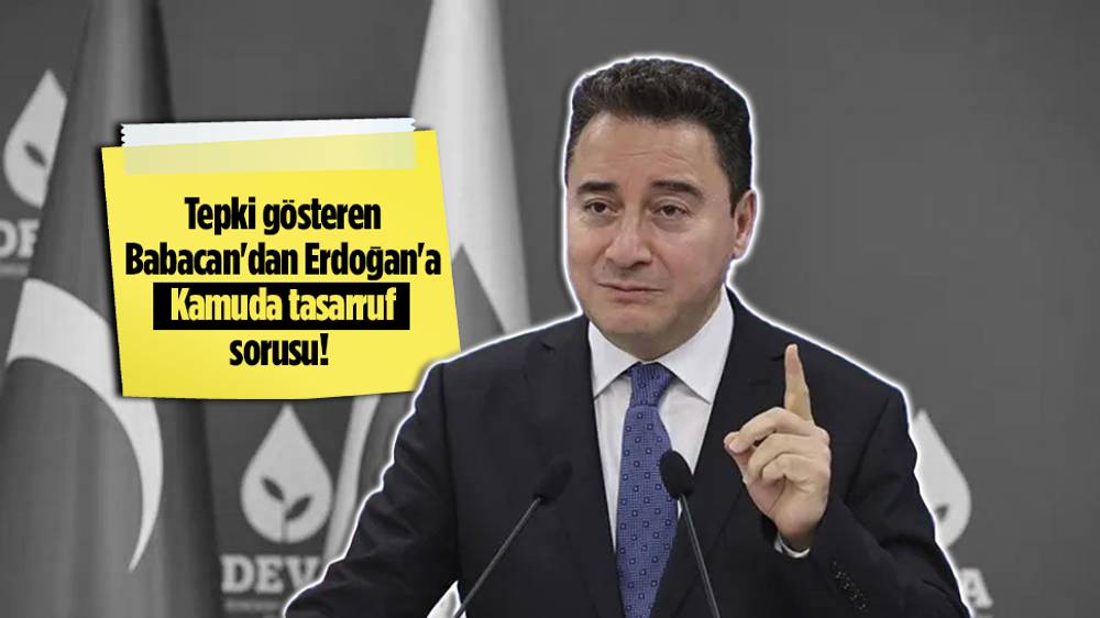 Ali Babacan'dan 'Kamuda tasarruf' paylaşımı!