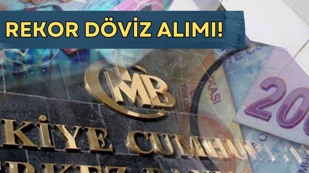 Merkez Bankası'ndan rekor döviz alımı