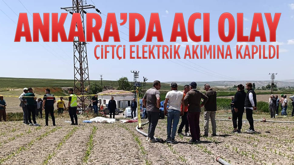 Ankara'da elektrik akımına kapılan çiftçi kurtarılamadı...