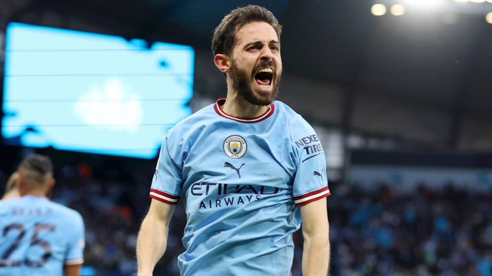 Bernardo Silva kimdir?