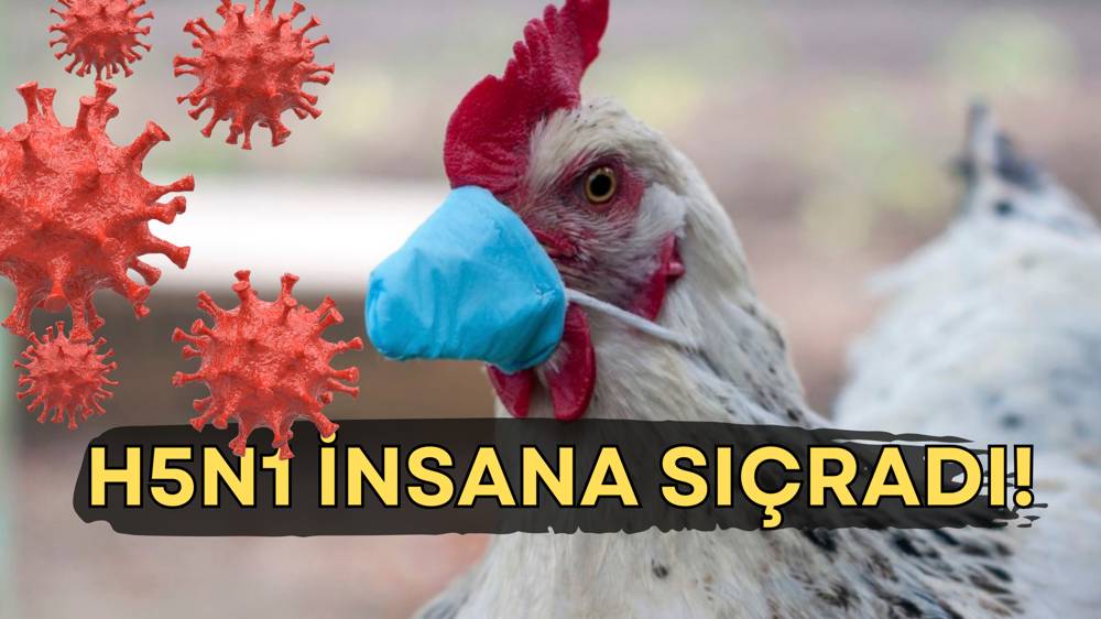 H5N1 virüsü ilk kez insana sıçradı