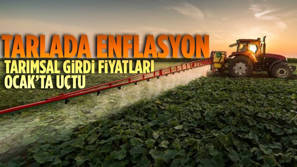 TÜİK: Tarımsal girdi fiyatları yıllık yüzde 45,11 arttı