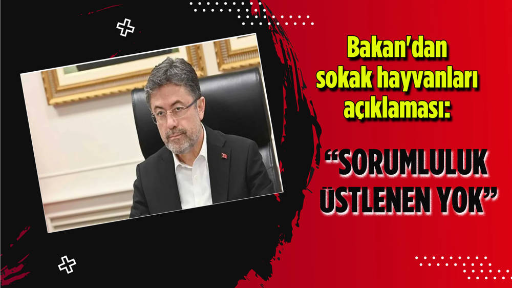 Bakan Yumaklı'dan sokak hayvanları açıklaması: Sorumluluk üstlenen yok