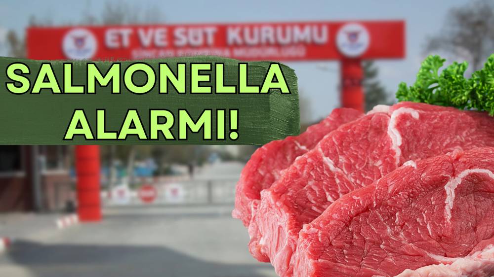 ESK, Salmonella bulunan etlerin imhasını onayladı