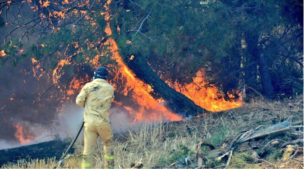 Çanakkale Valiliği'nden sıcaklık ve orman yangını uyarısı