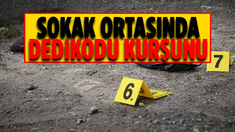 16 yaşındaki çocuk arkadaşını kurşun yağmuruna tuttu 