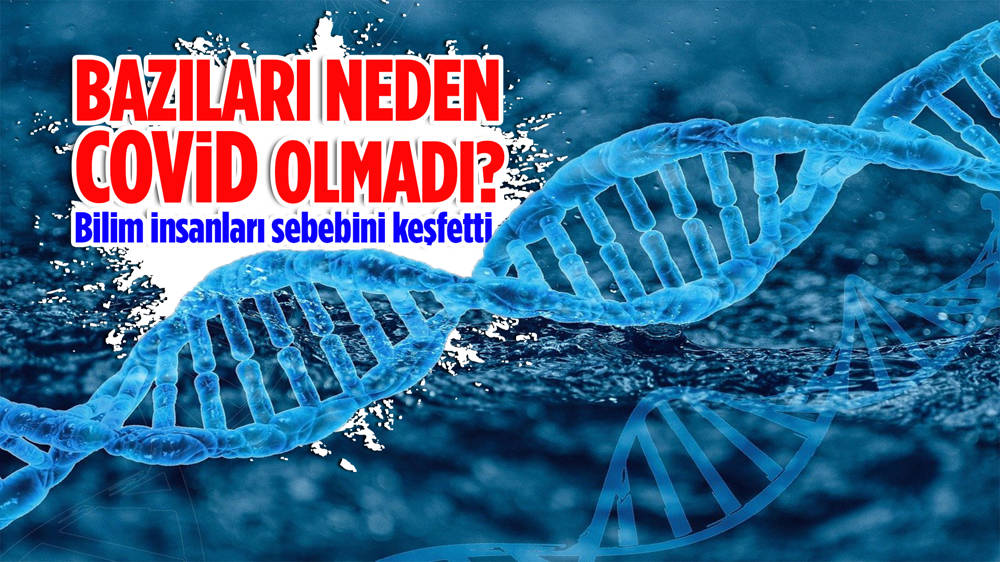 Bilim insanları, bazı kişilerin neden Kovid olmadığını buldu