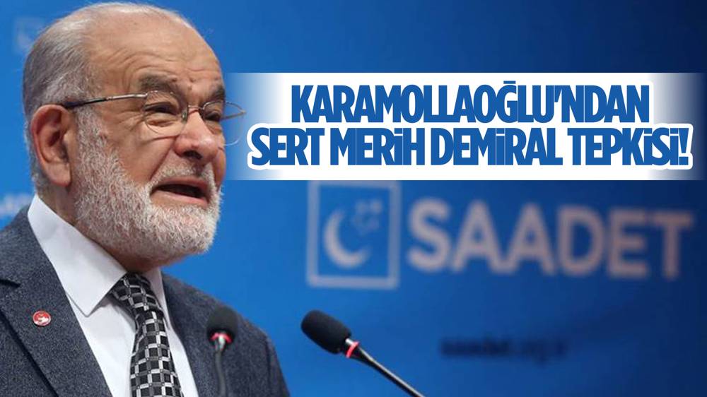 Temel Karamollaoğlu, Merih Demiral'a verilen cezayı kınadı! 