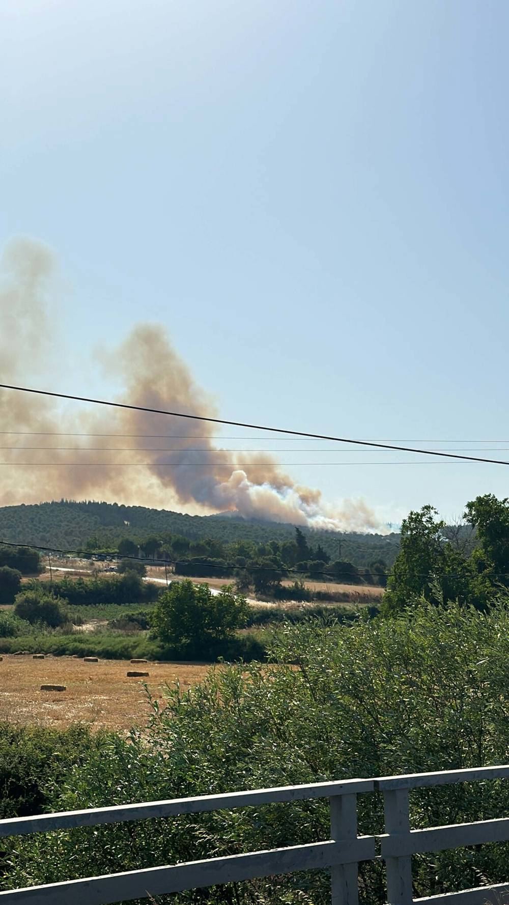 Çanakkale'de orman yangını